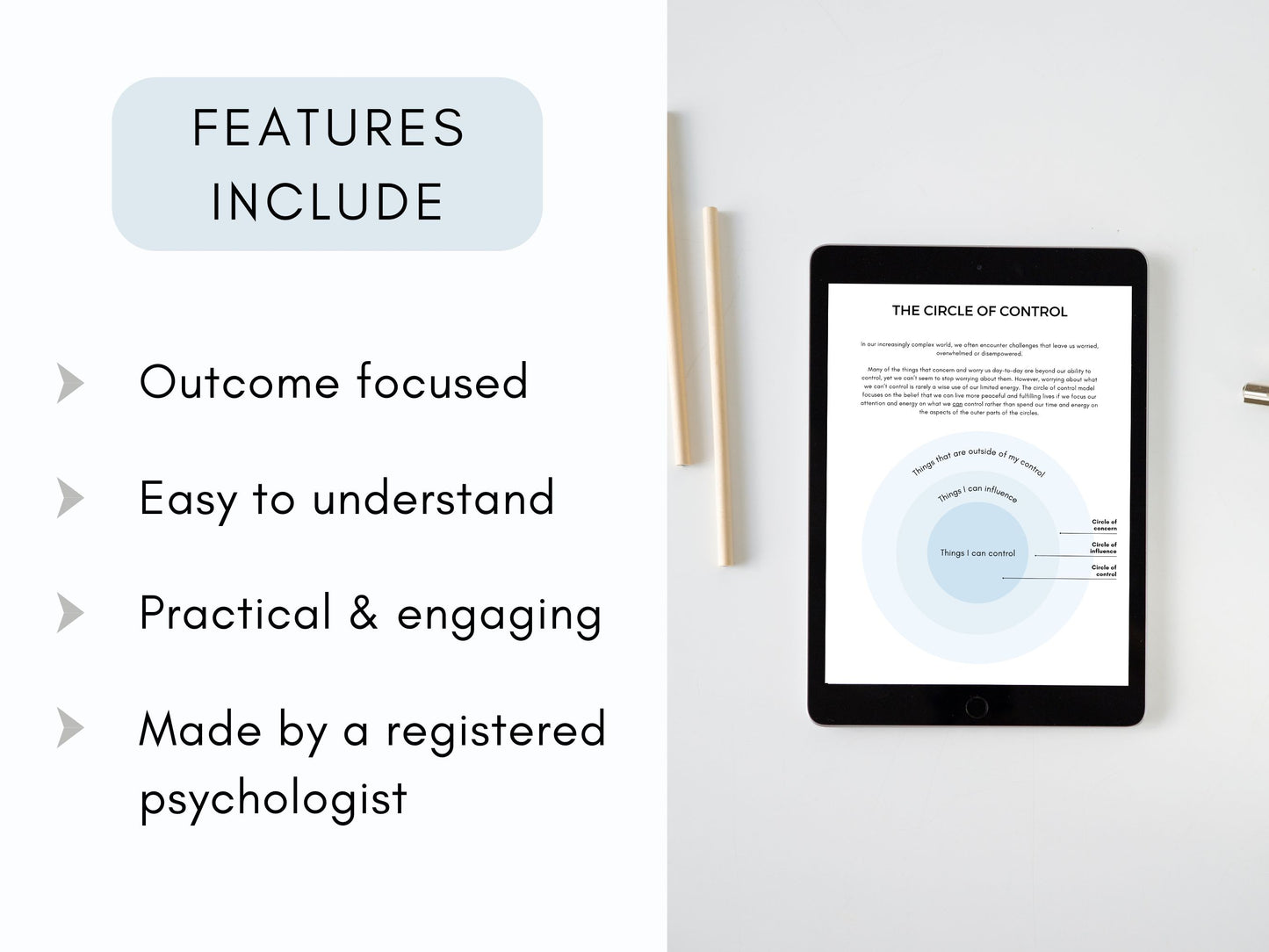 Circle of Control Worksheets