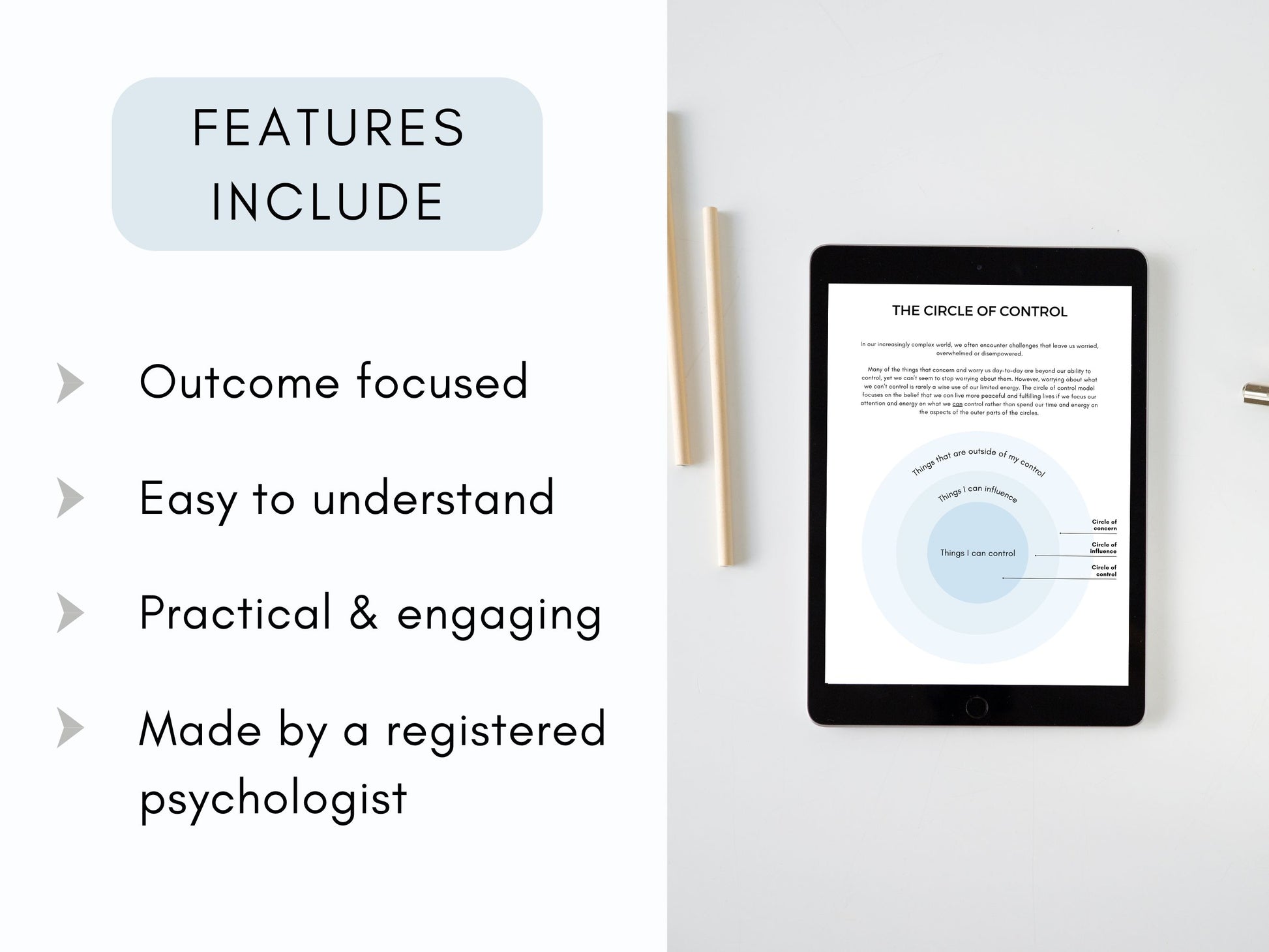 Circle of Control Worksheets
