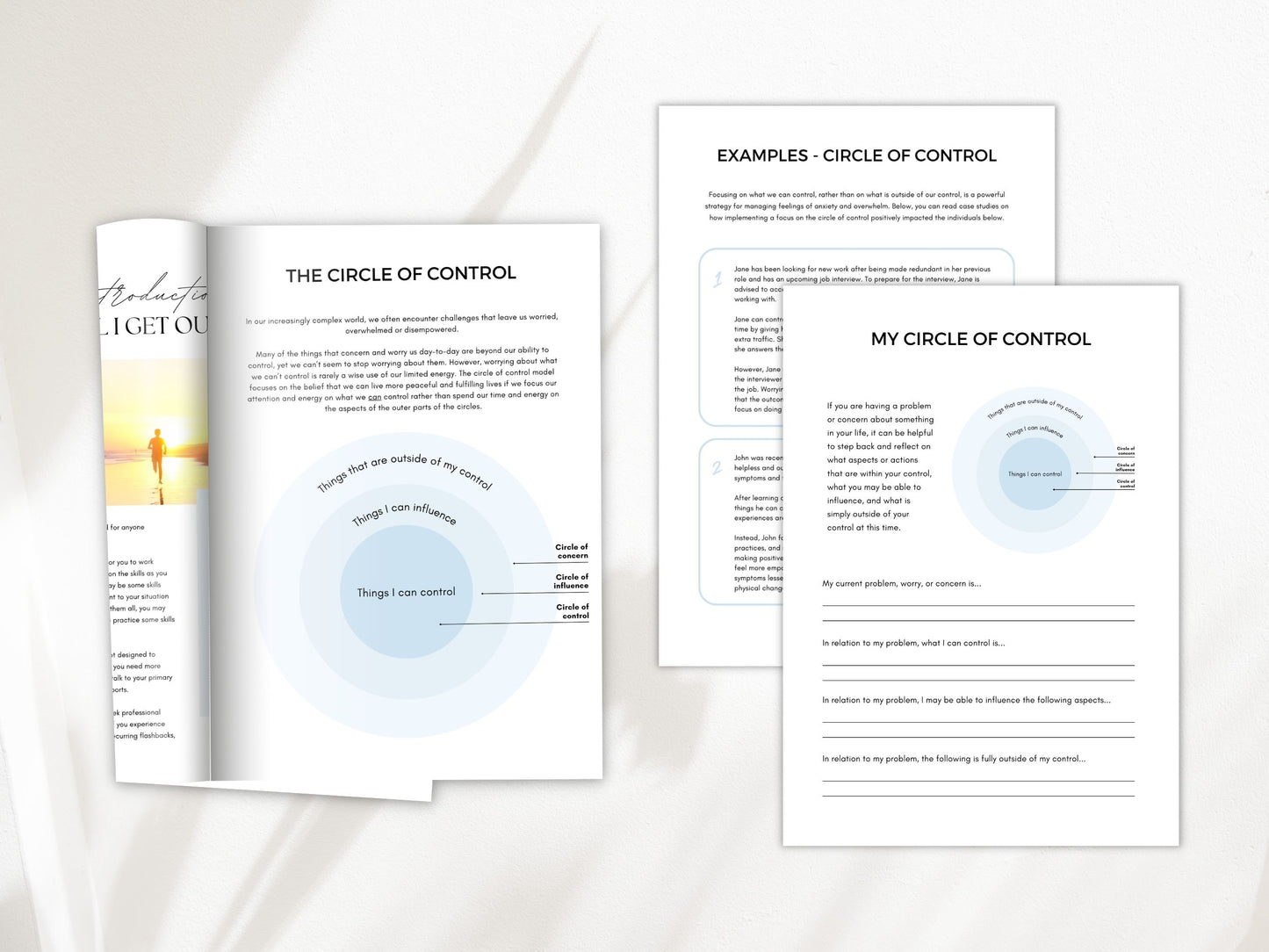 Circle of Control Worksheets