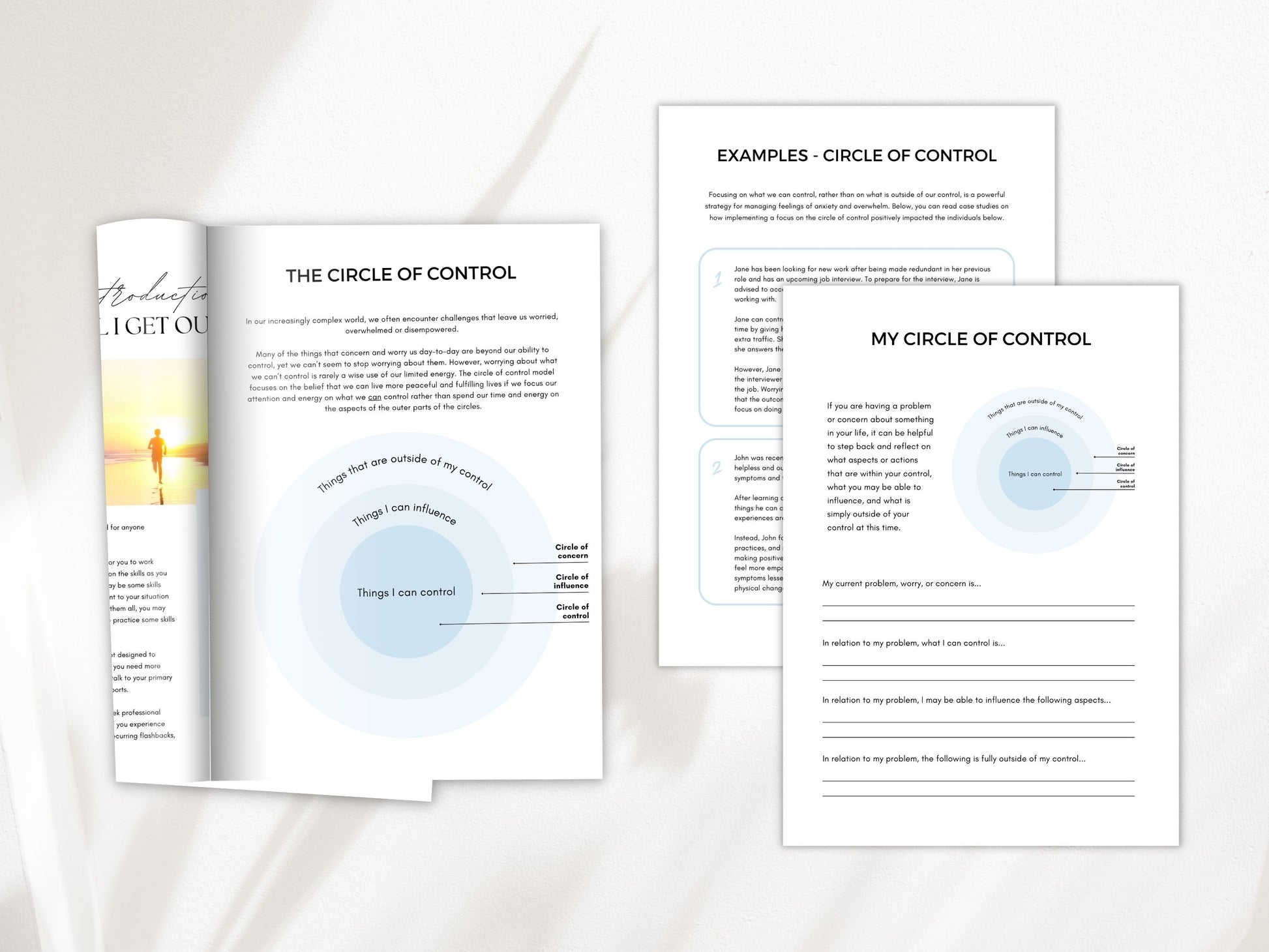 Circle of Control Worksheets