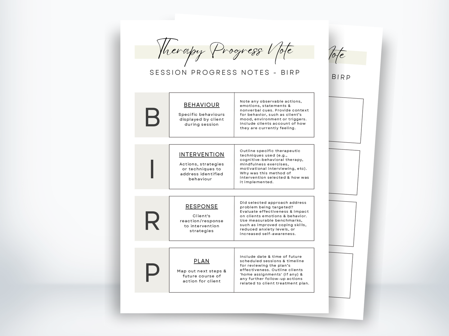 Session Progress Notes - BIRP PDF