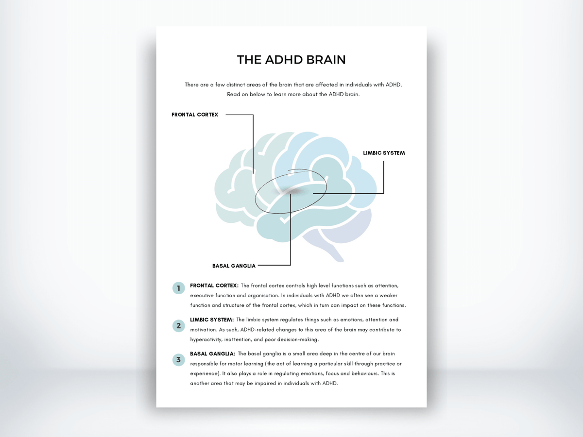 The ADHD Brain Handout PDF - My Thriving Mind
