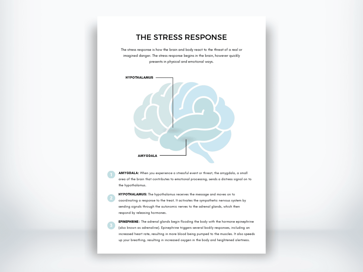 The Stress Response Handout PDF - My Thriving Mind