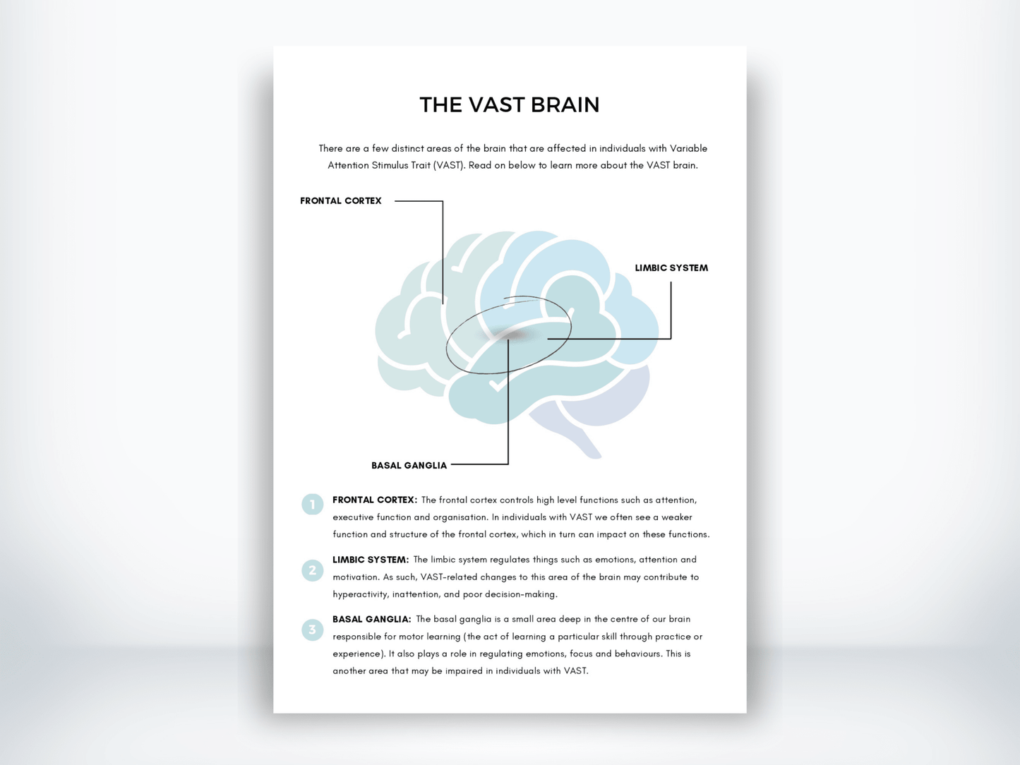 The VAST Brain Handout PDF - My Thriving Mind