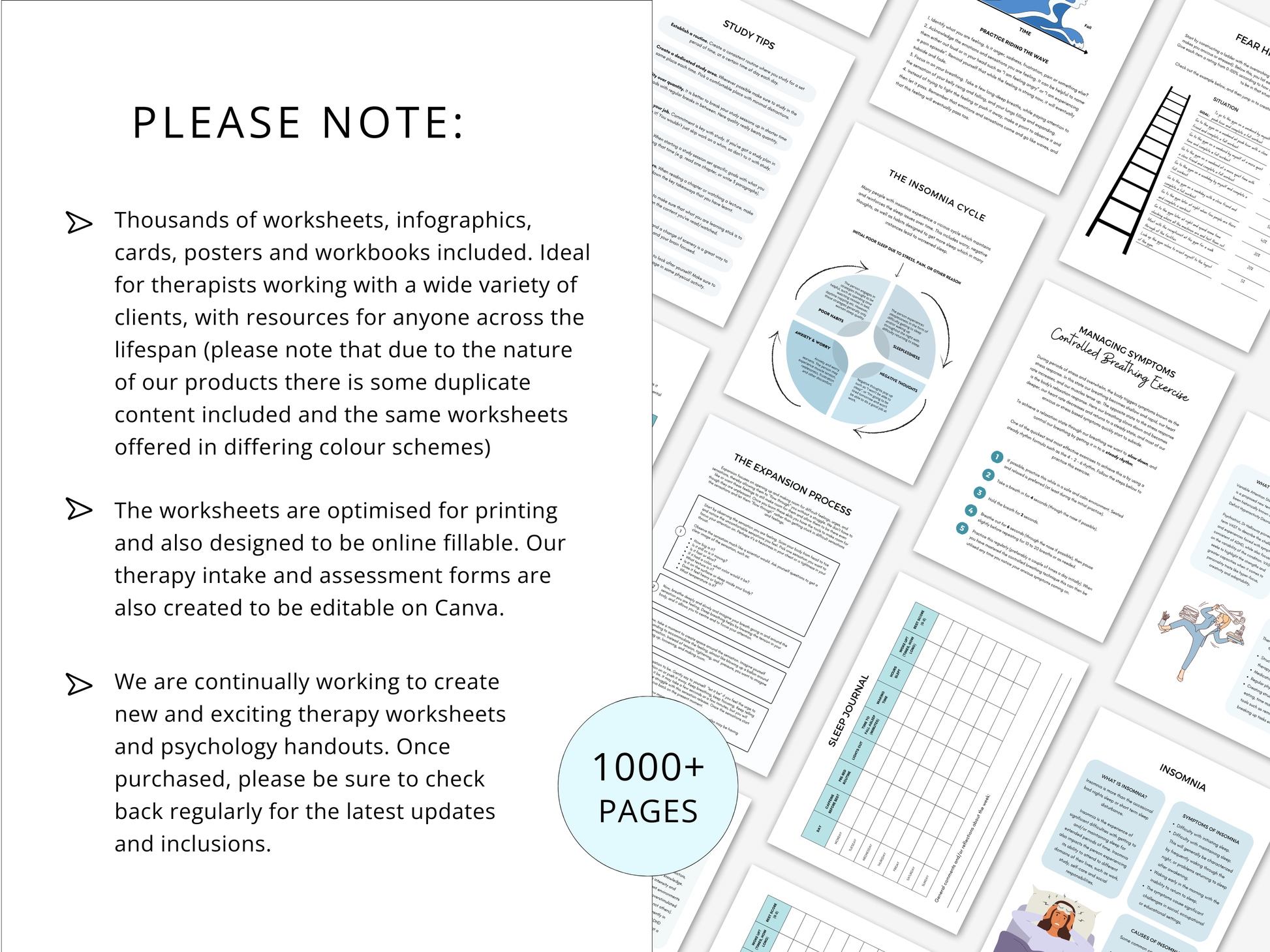 Complete Psychology Worksheets – Whole Shop Bundle