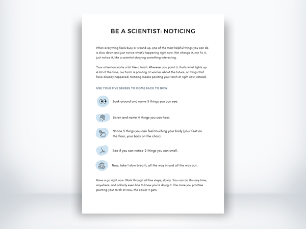 Be a Scientist: Noticing PDF