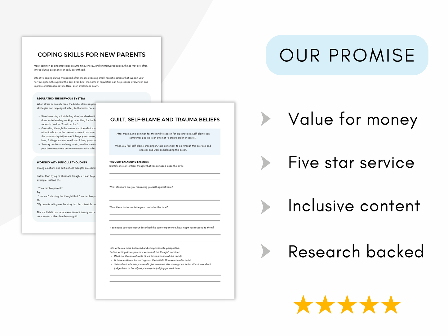 Birth Trauma & Perinatal Mental Health Worksheets