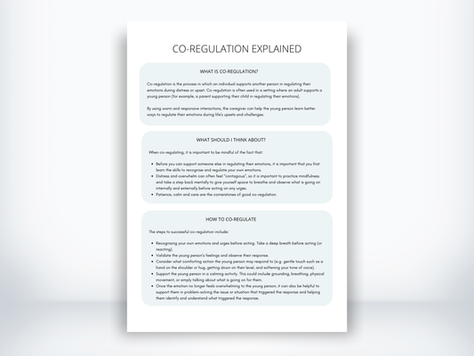 Co-Regulation Handout PDF