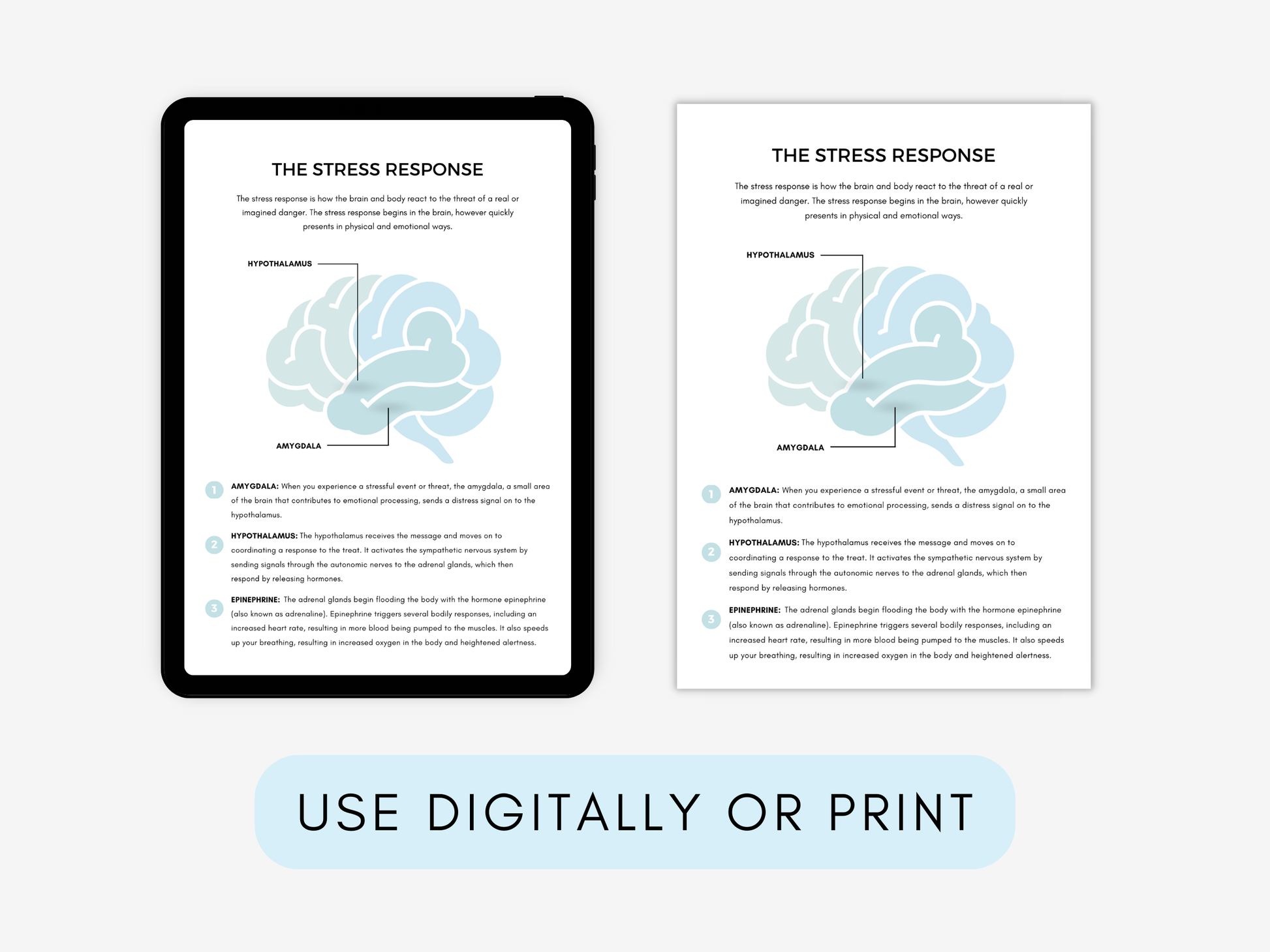 Collective Trauma Worksheets