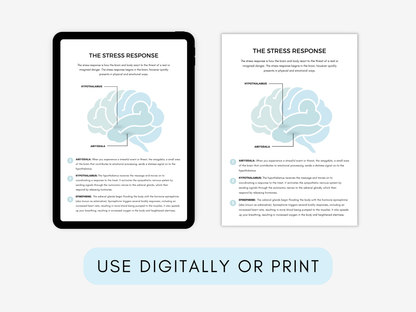 Collective Trauma Worksheets