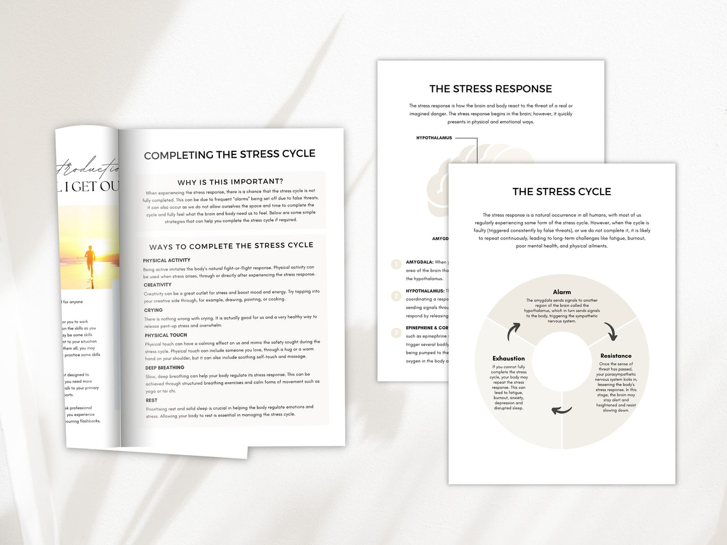 Cortisol Management Worksheets