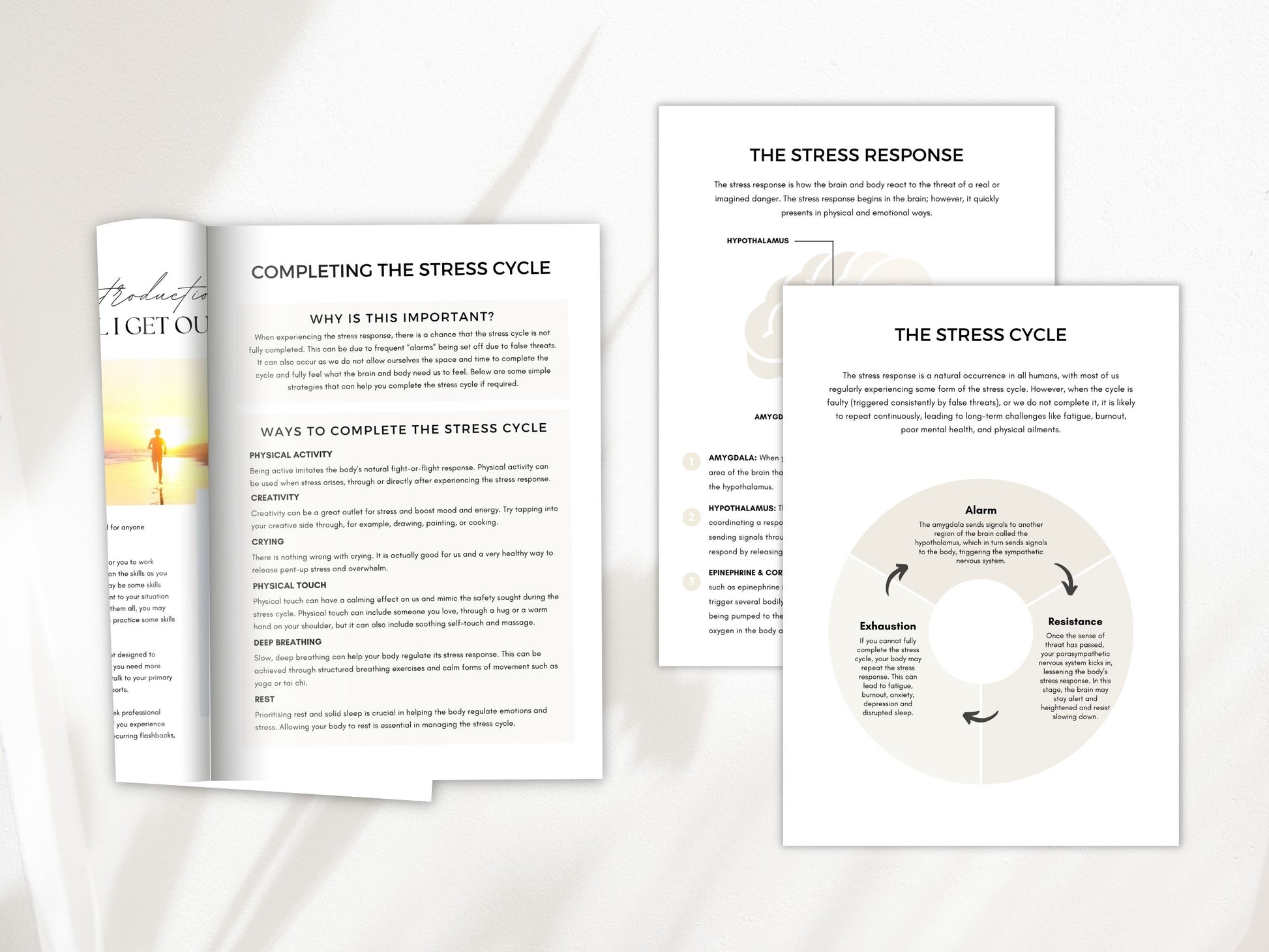 Cortisol Management Worksheets