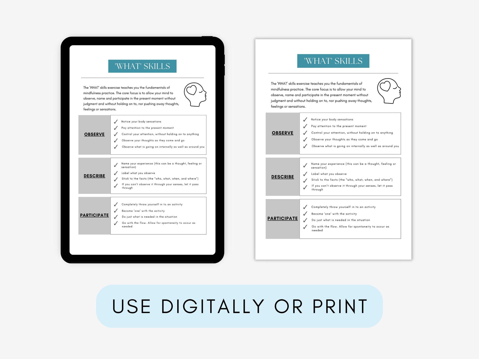 DBT Skills Flashcards Bundle PDF