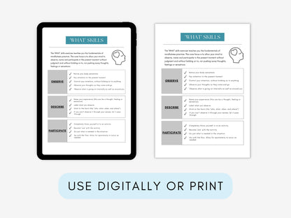 DBT Skills Flashcards Bundle PDF