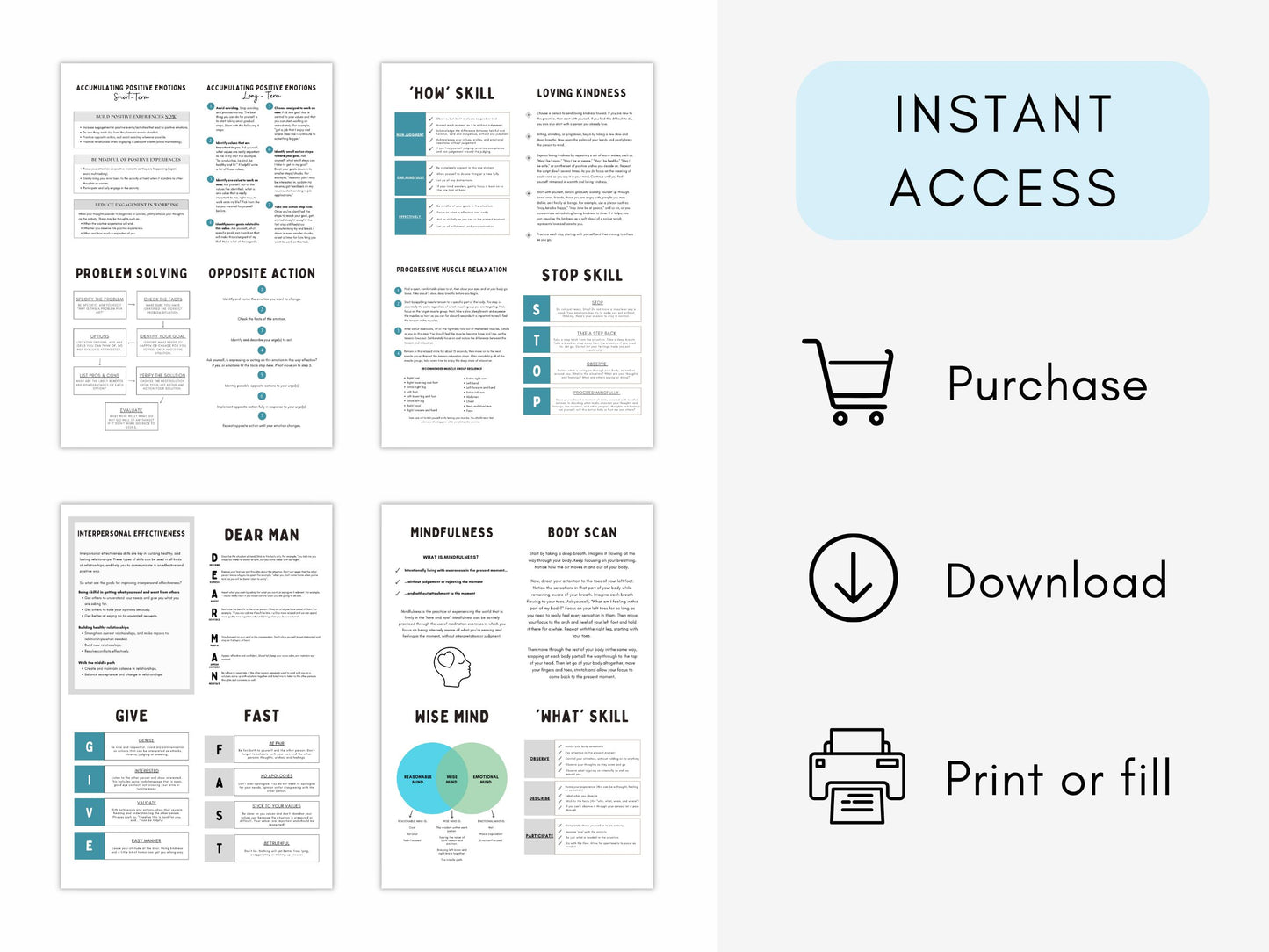 DBT Skills Flashcards Bundle PDF