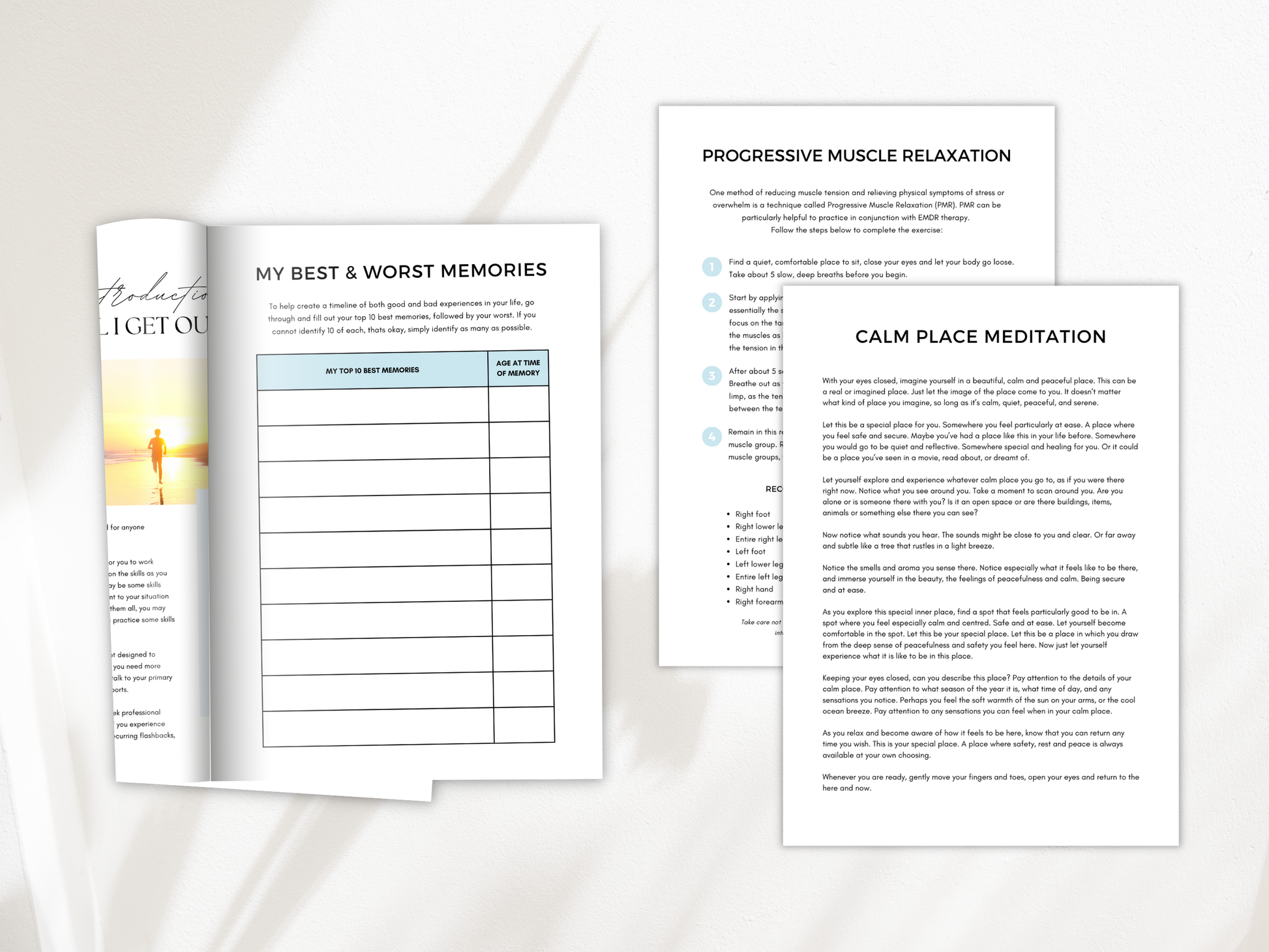 EMDR (Eye Movement Desensitisation and Reprocessing) Therapy Bundle