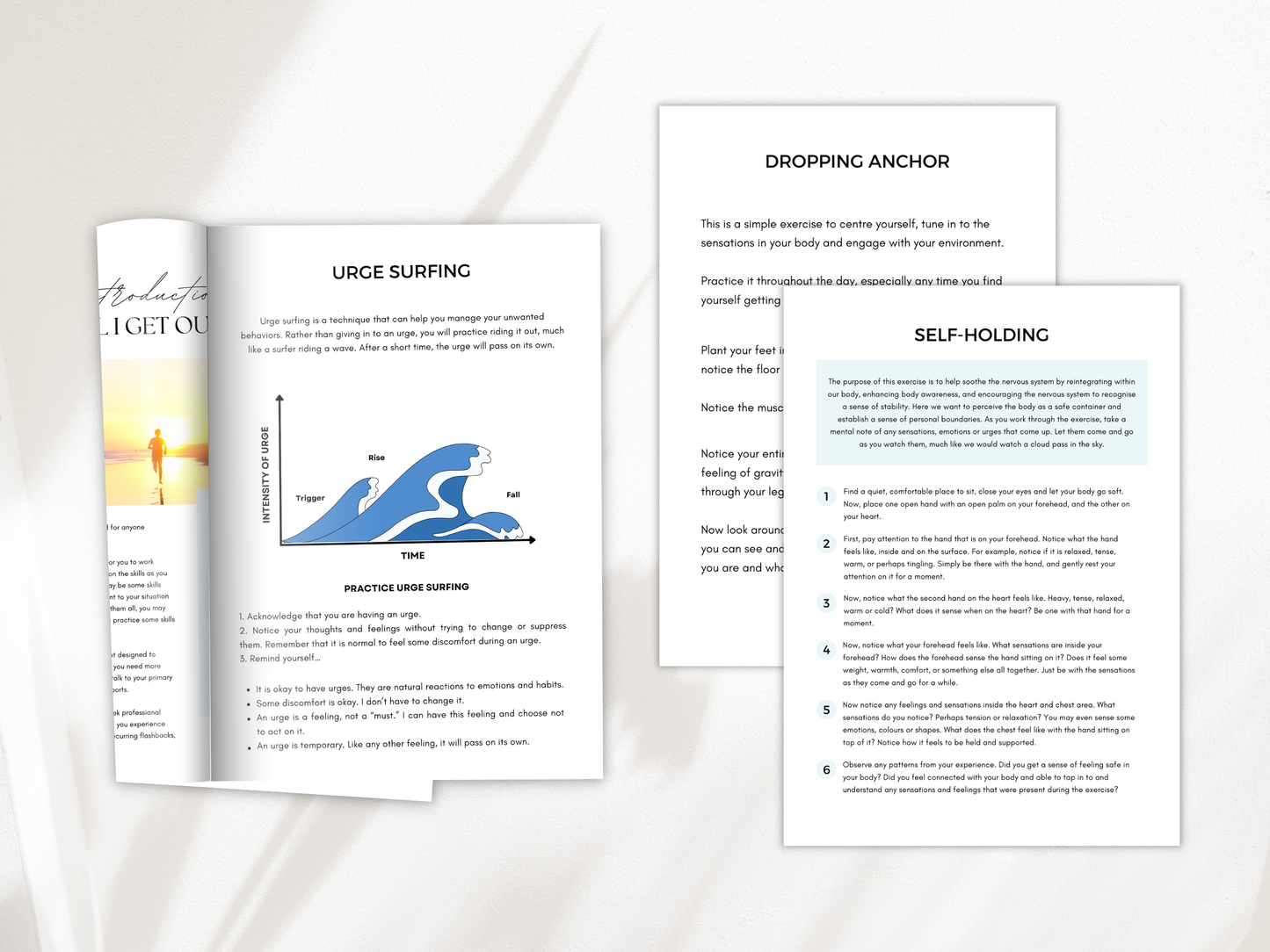 Emotional Regulation Worksheets