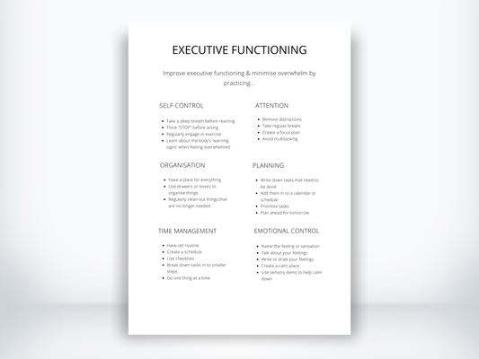 Executive Functioning Skills PDF