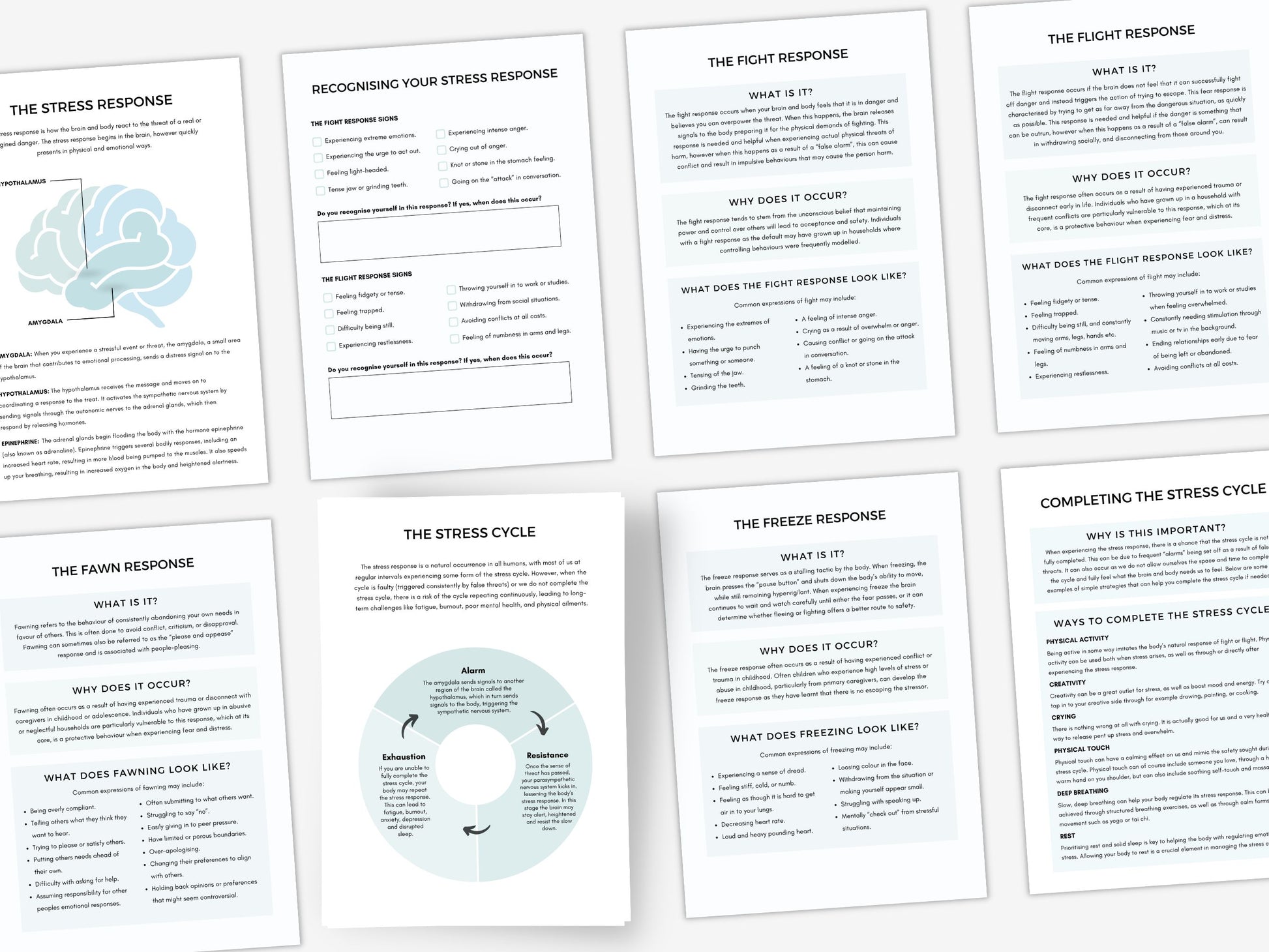 Fight Flight Freeze Fawn Worksheets PDF