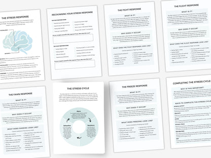 Fight Flight Freeze Fawn Worksheets PDF