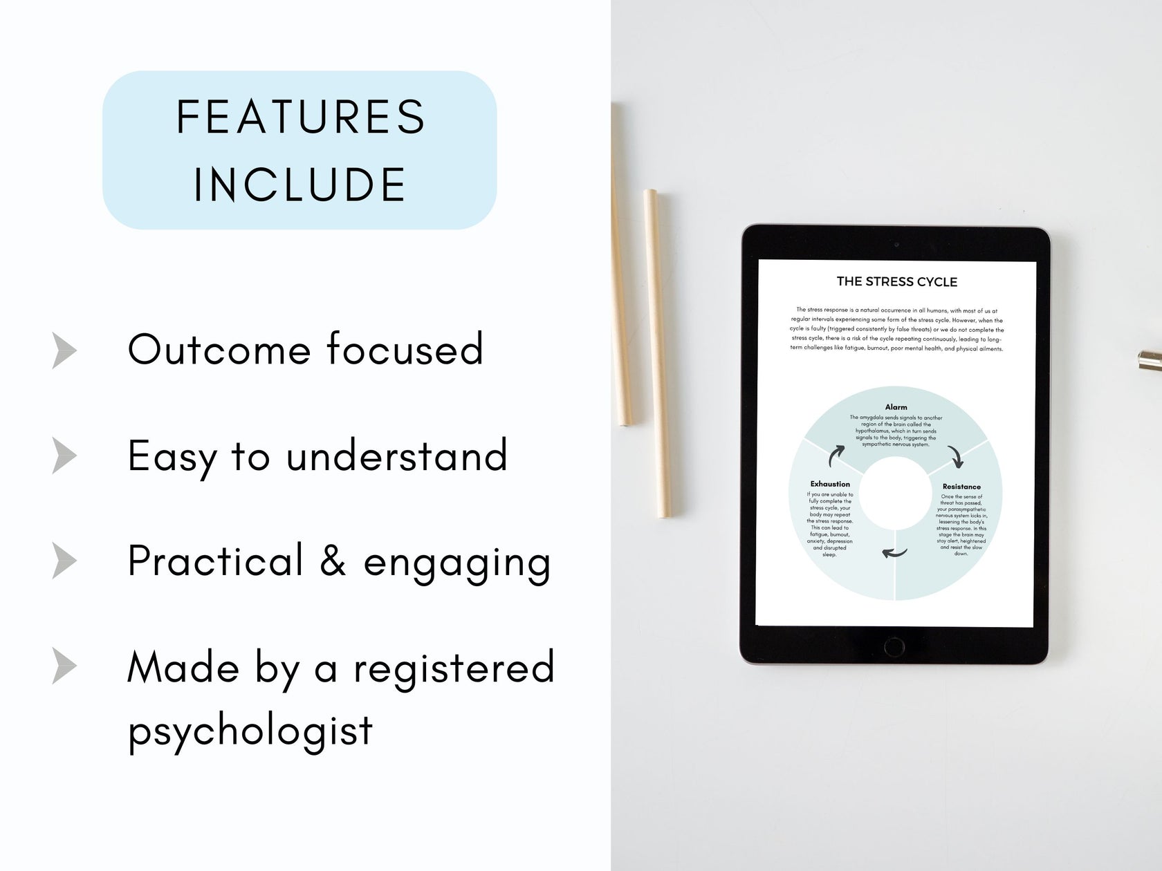 Fight Flight Freeze Fawn Worksheets | My Thriving Mind