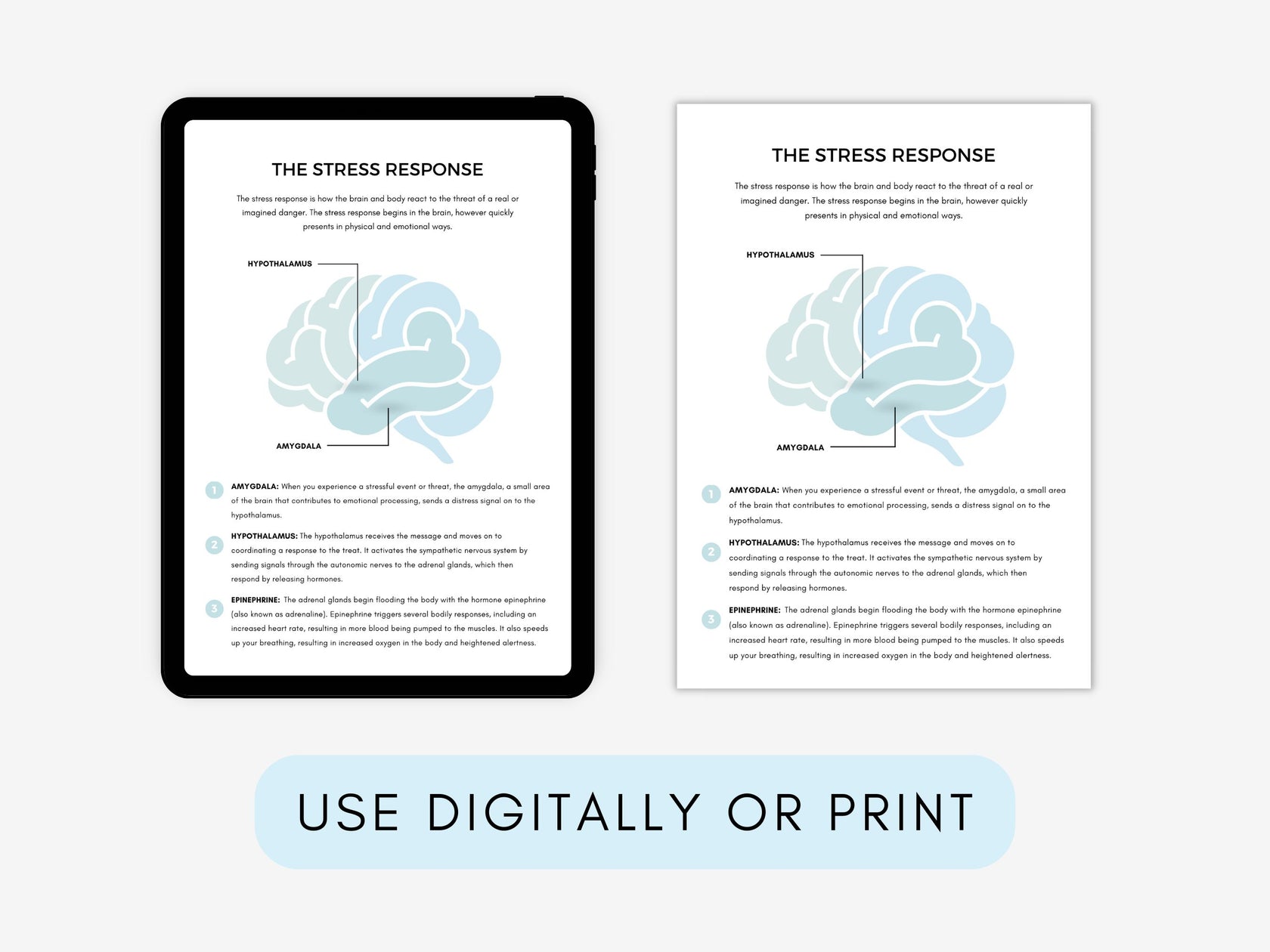 Fight Flight Freeze Fawn Worksheets | My Thriving Mind