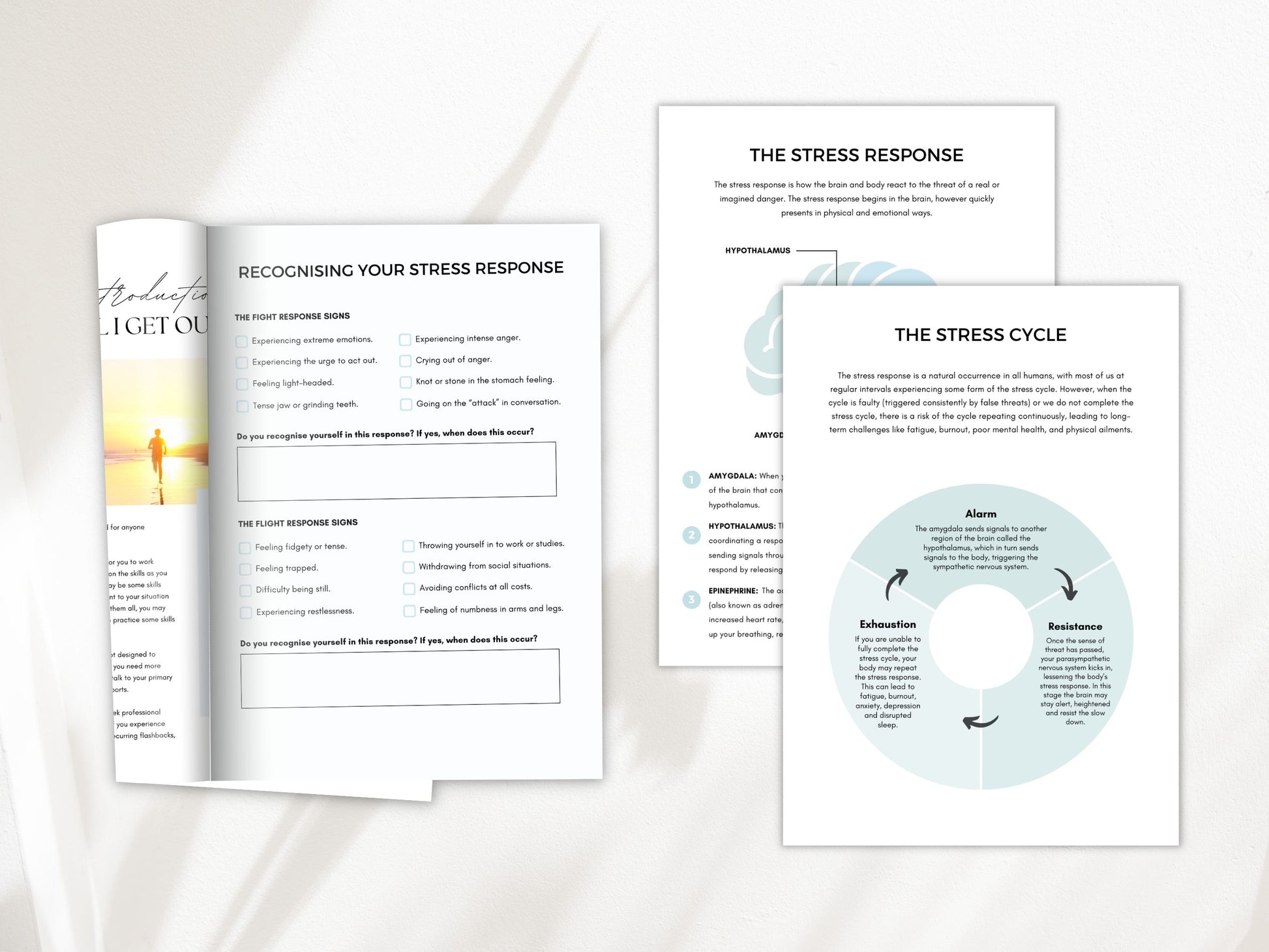 Fight Flight Freeze Fawn Worksheets PDF