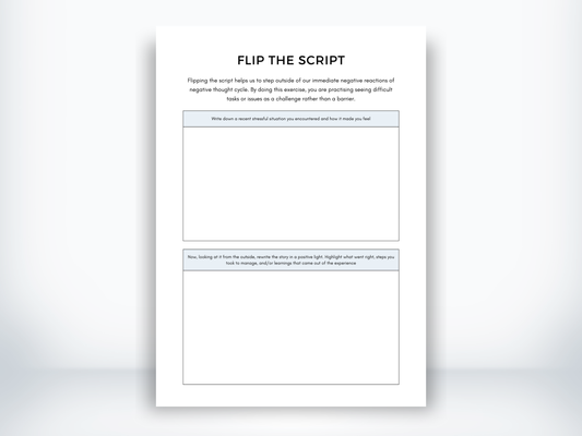 Flip The Script Worksheet PDF