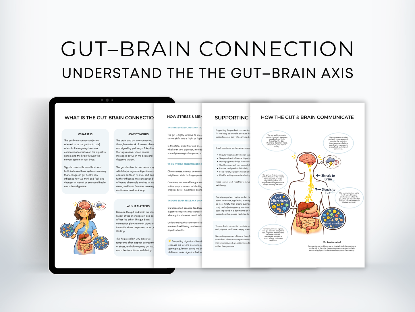 Gut–Brain Connection Worksheets