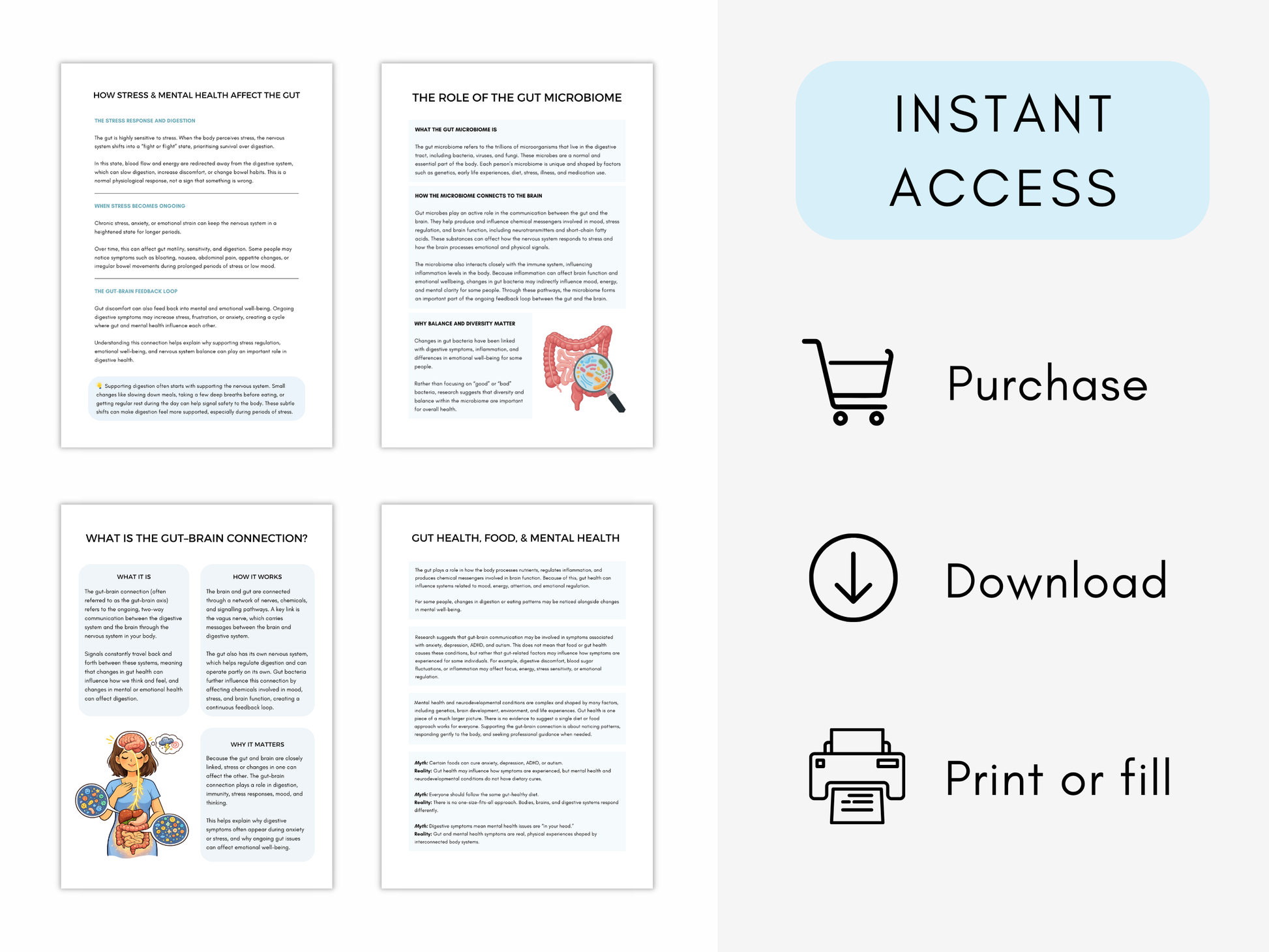Gut–Brain Connection Worksheets