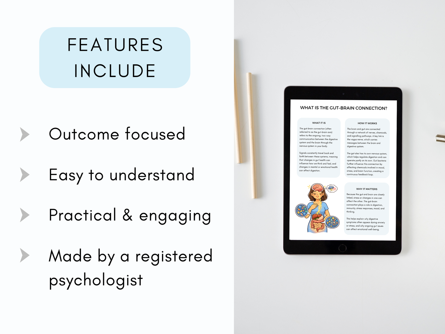 Gut–Brain Connection Worksheets