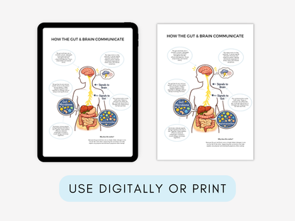 Gut–Brain Connection Worksheets