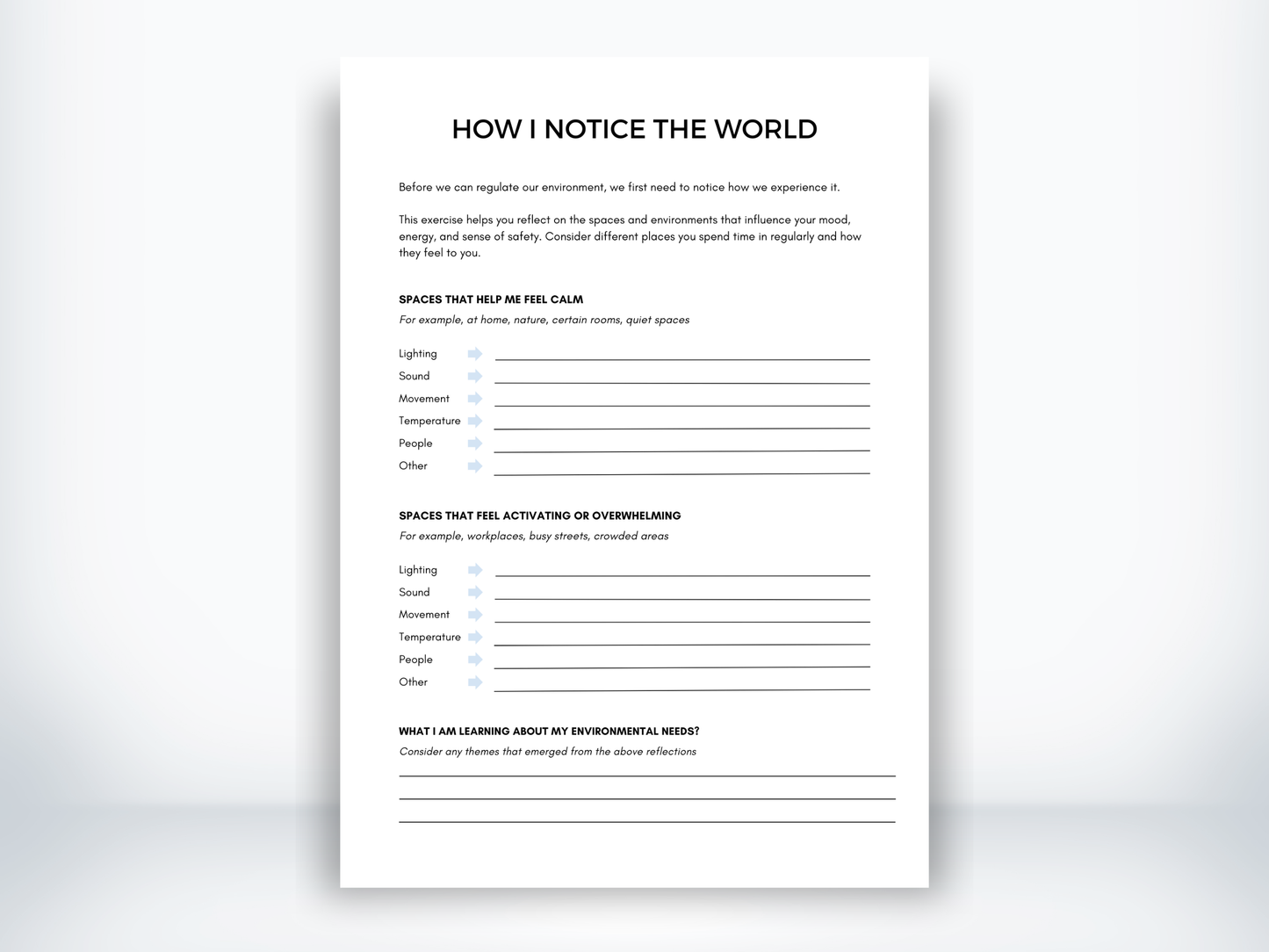 How I Notice The World Exercise PDF