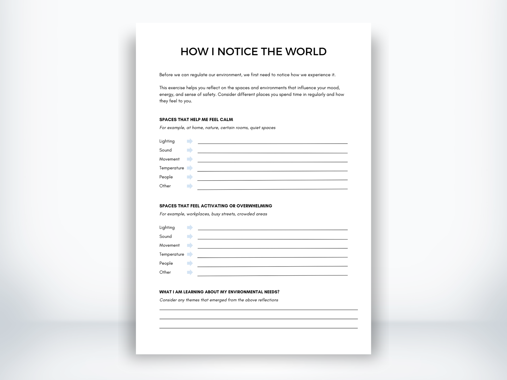How I Notice The World Exercise PDF
