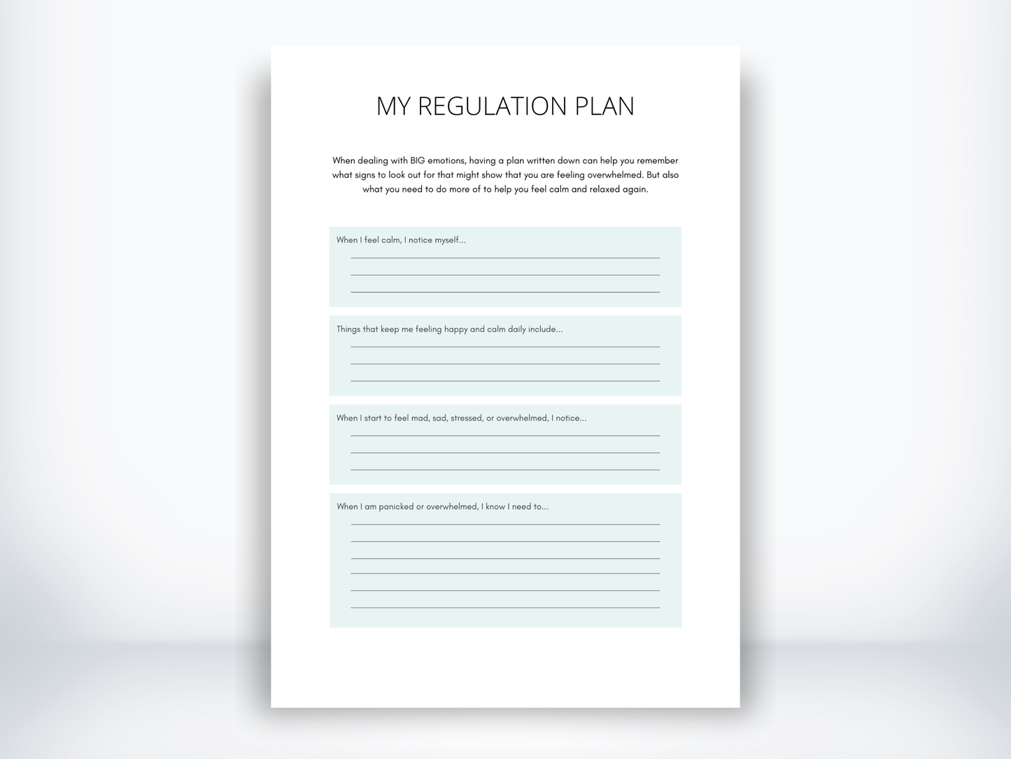 My Regulation Plan Worksheet PDF