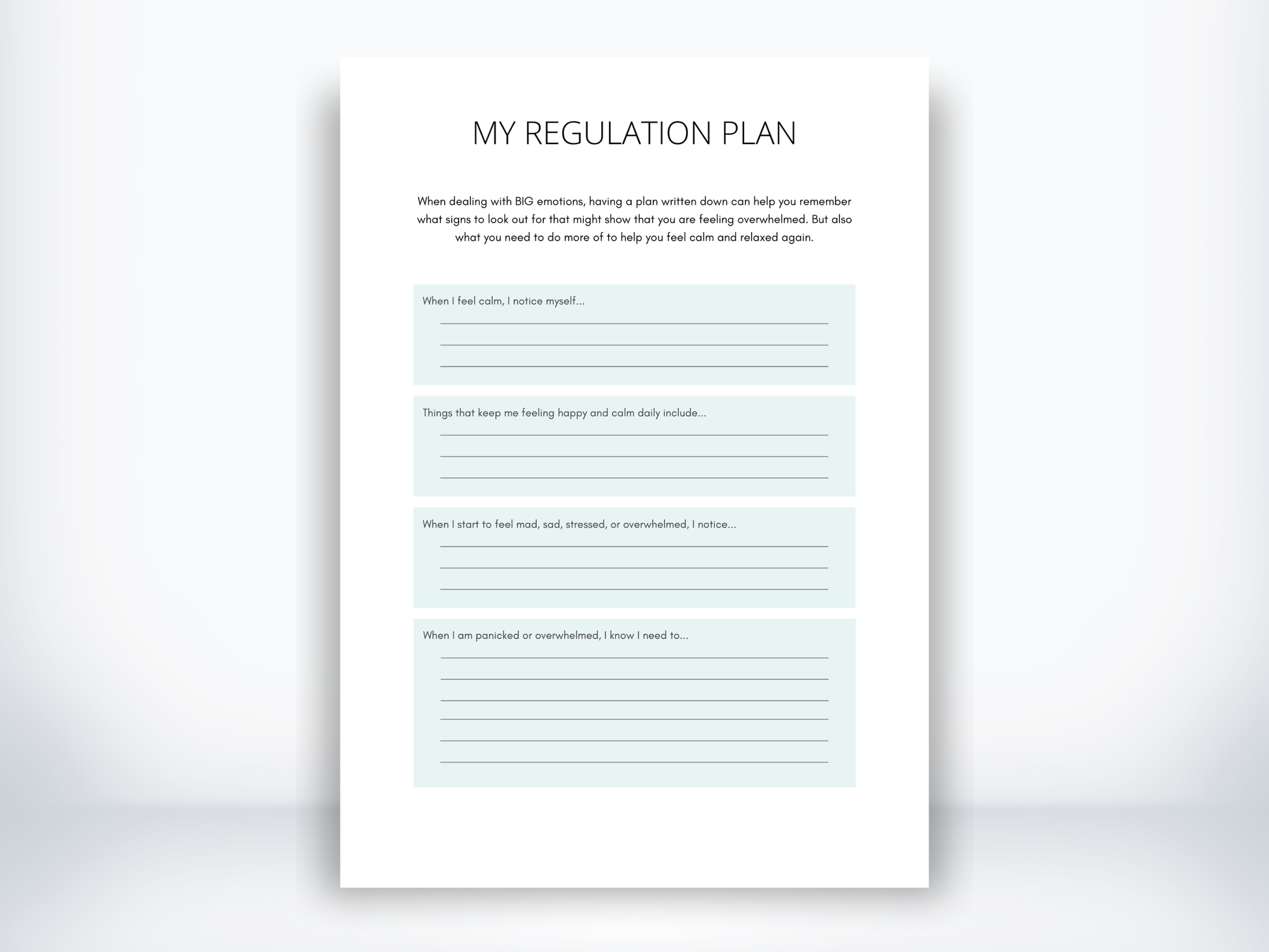 My Regulation Plan Worksheet PDF