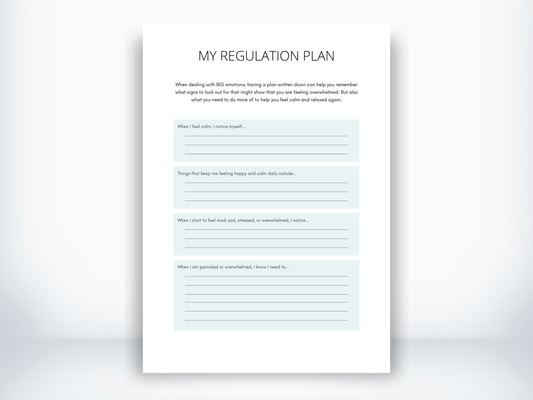 My Regulation Plan Worksheet PDF