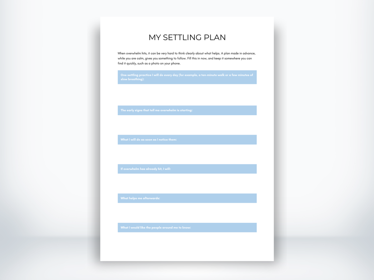 My Settling Plan PDF