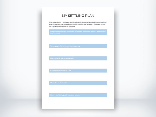 My Settling Plan PDF