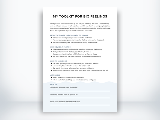 My Toolkit for Big Feelings PDF