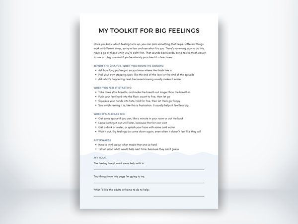 My Toolkit for Big Feelings PDF