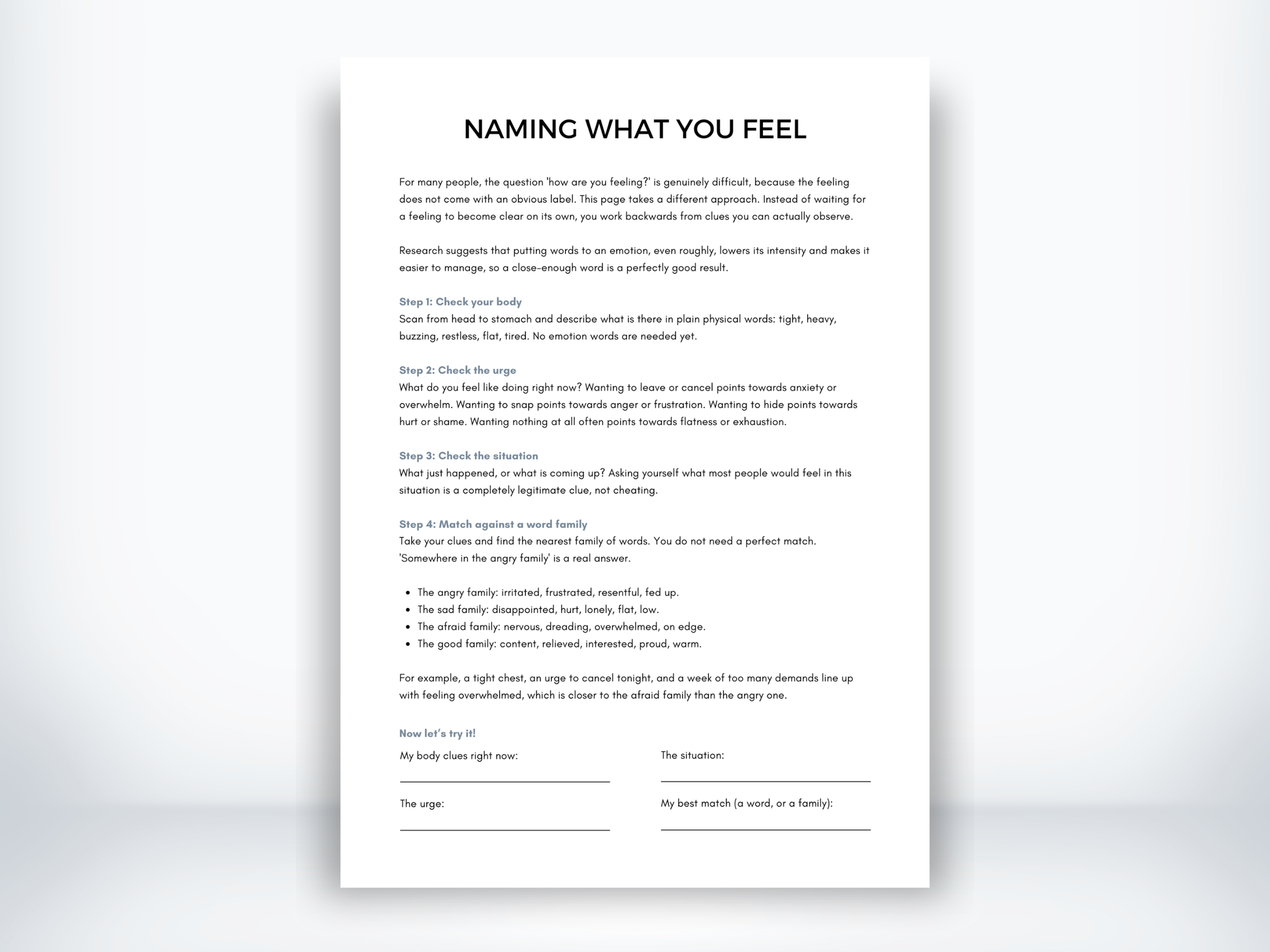 Naming What You Feel PDF