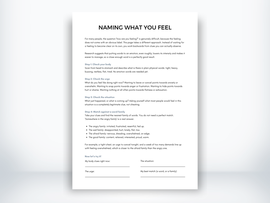Naming What You Feel PDF