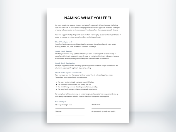 Naming What You Feel PDF