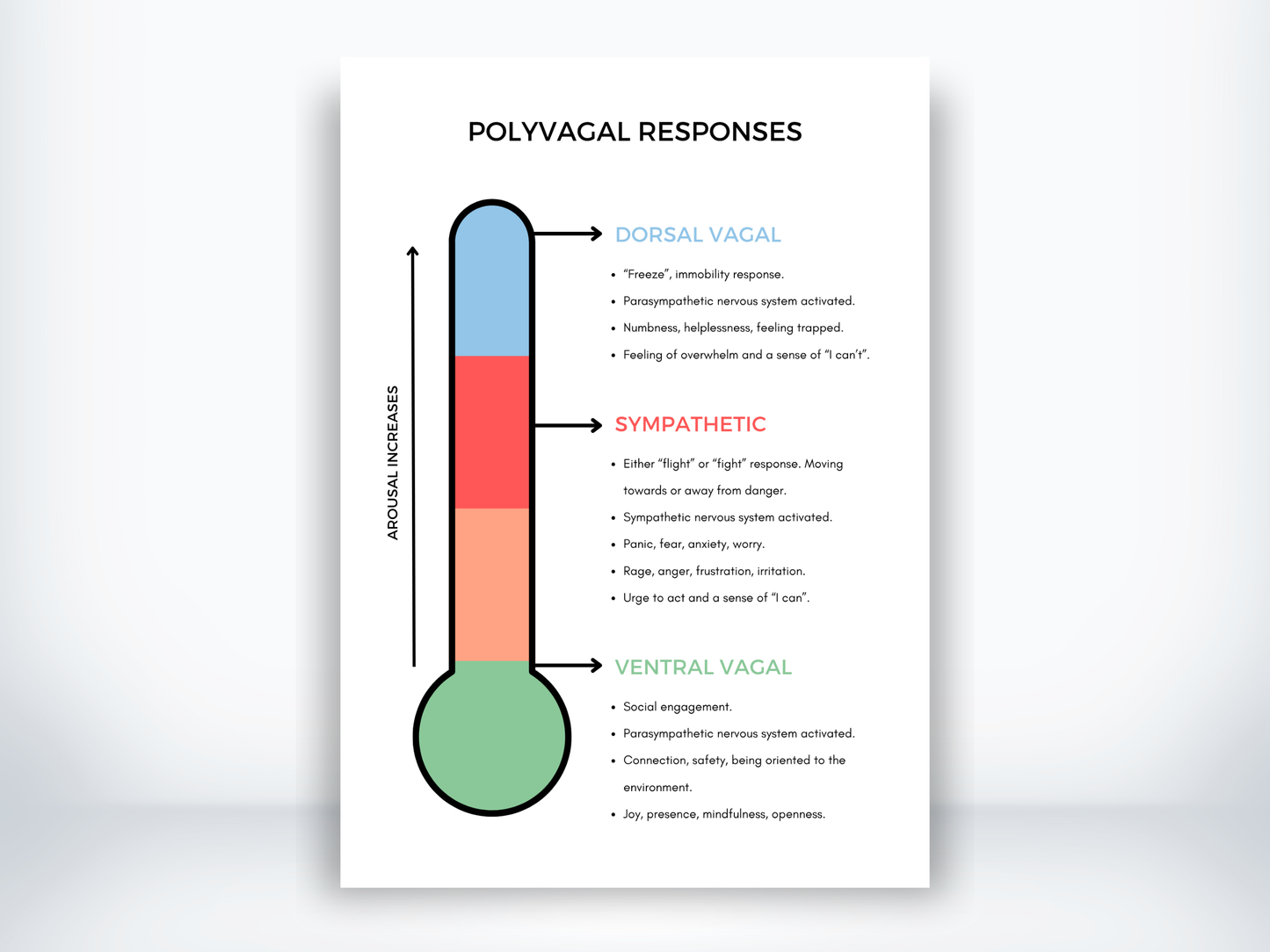 Polyvagal Responses Handout PDF