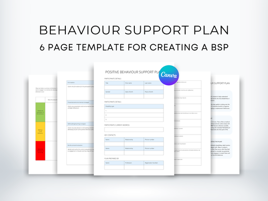 Positive Behaviour Support Plan (PBSP)