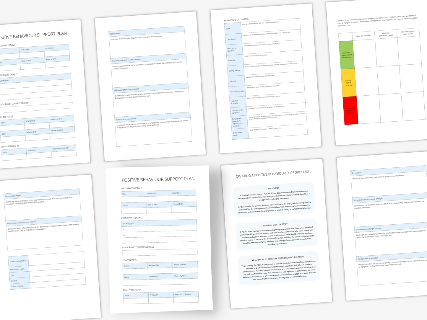 Positive Behaviour Support Plan (PBSP)