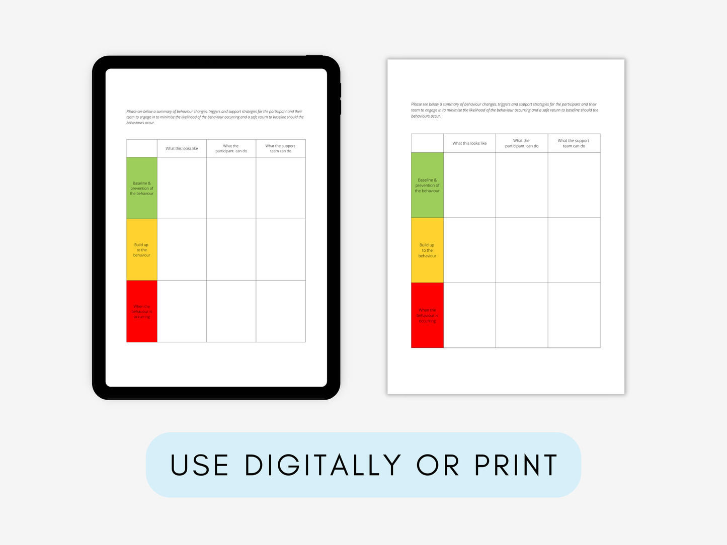 Positive Behaviour Support Plan (PBSP)