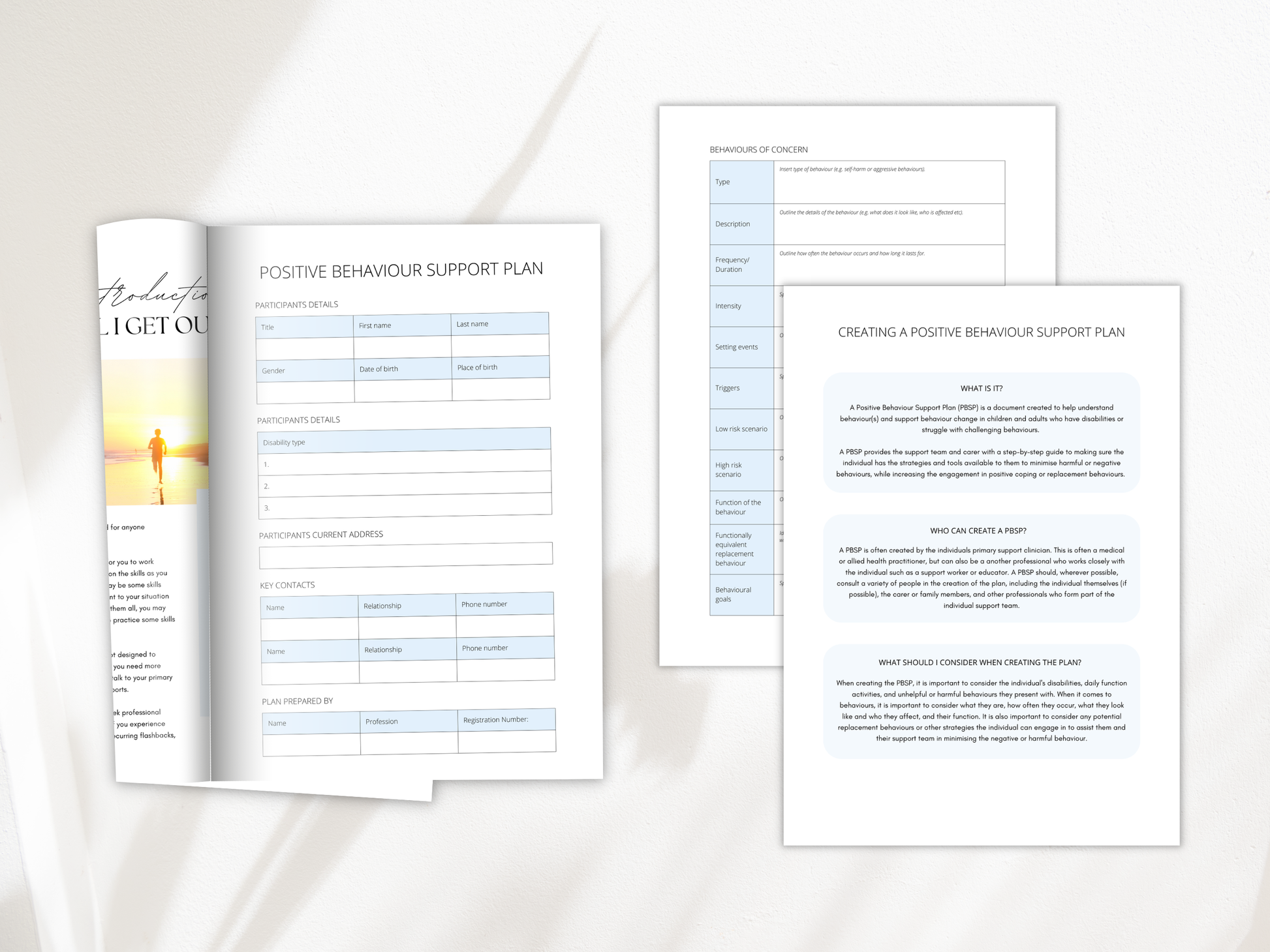 Positive Behaviour Support Plan (PBSP)