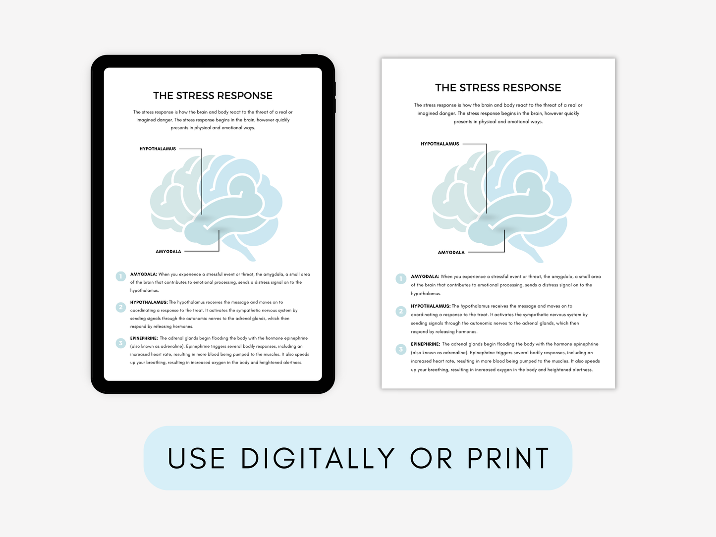 Post-Traumatic Growth Worksheets